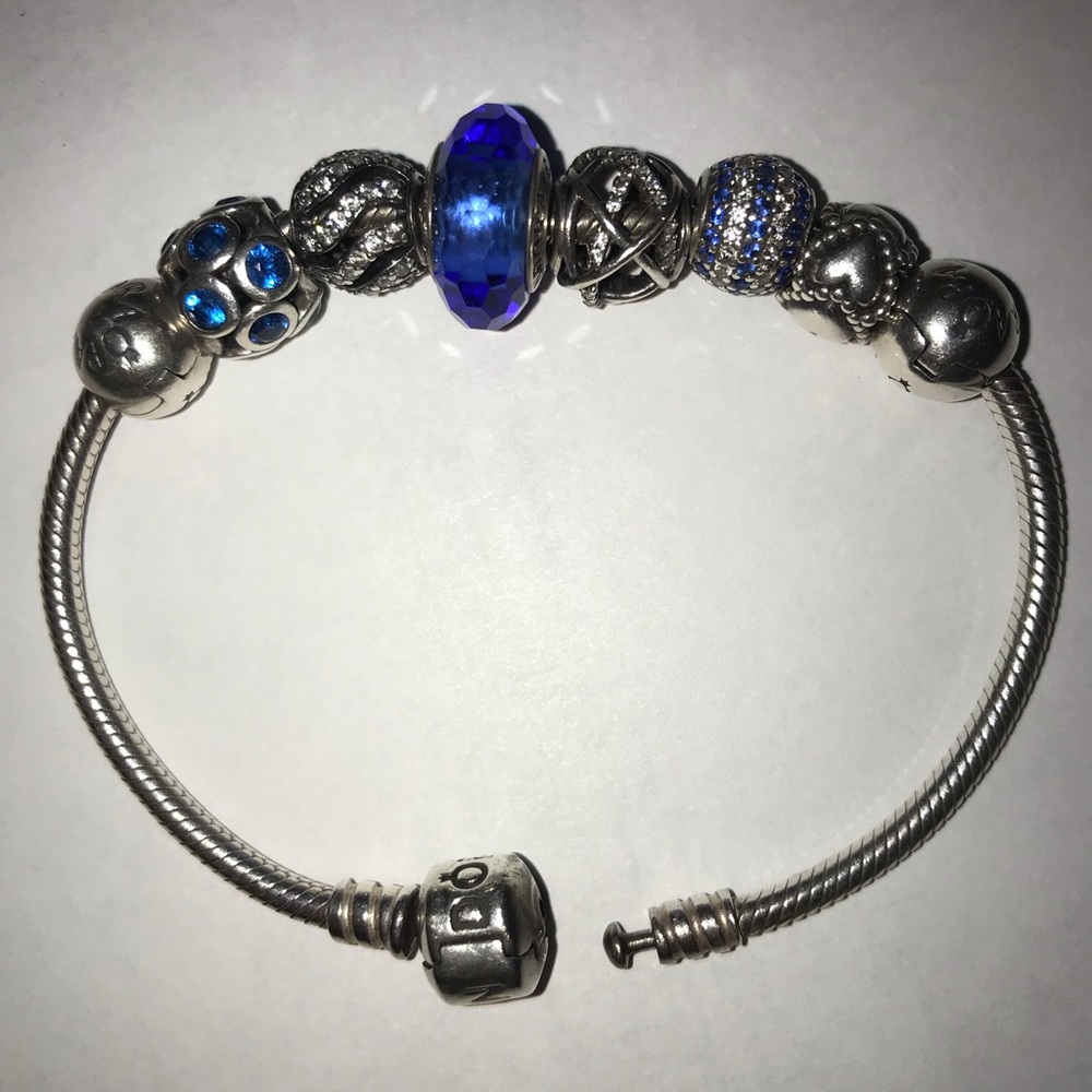 Pandora Charm Bracelet